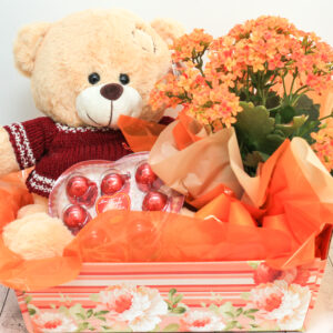 Flor da fortuna Flor da fortuna